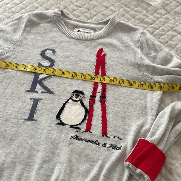 Abercrombie & Fitch Gray Penguin/ Ski Motif CrewNeck L/sleeve Sweater Size Small - Picture 7 of 8